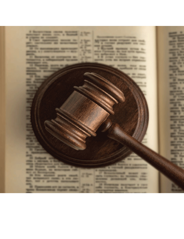 Law Firm Project